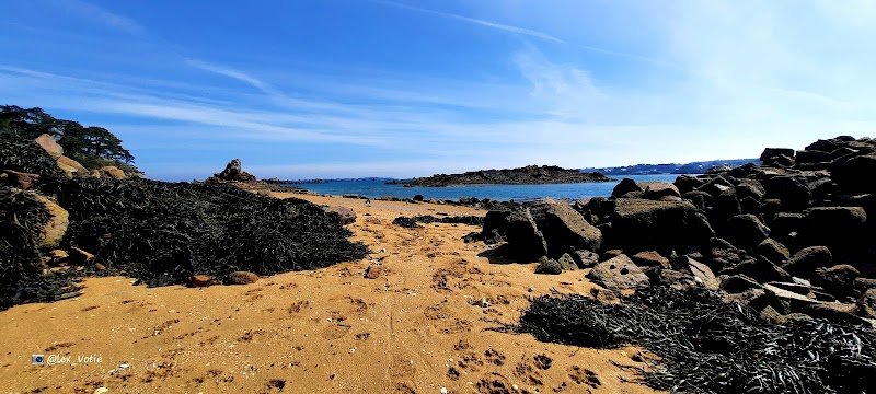 Poney Club de l'Ile à Bois - photo 3