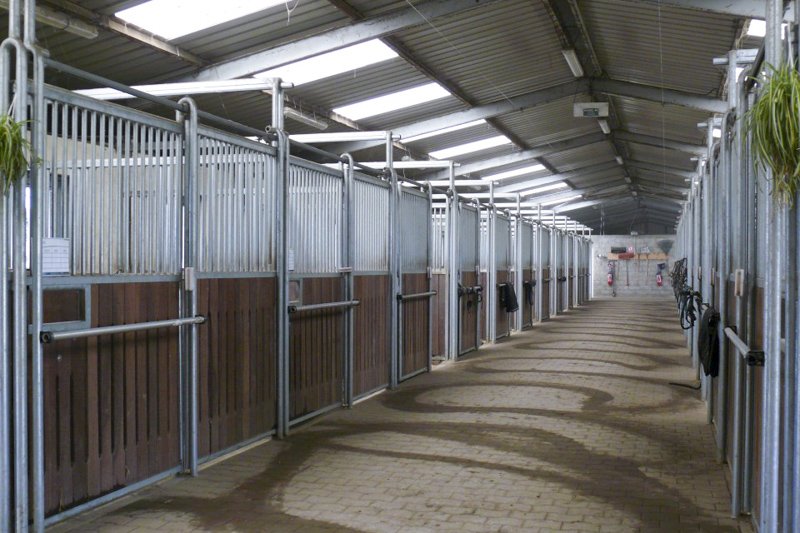 Ecuries du Menhir - photo 2