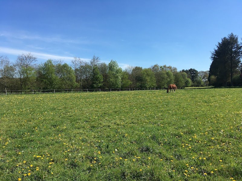 Ecurie du Coat Kermoal - photo 2