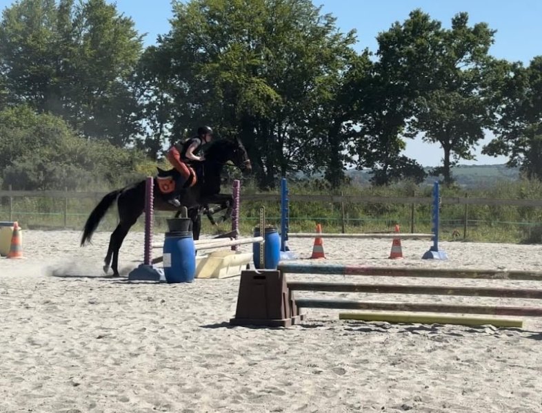 Pension équestre Domaine de Keos - photo 2