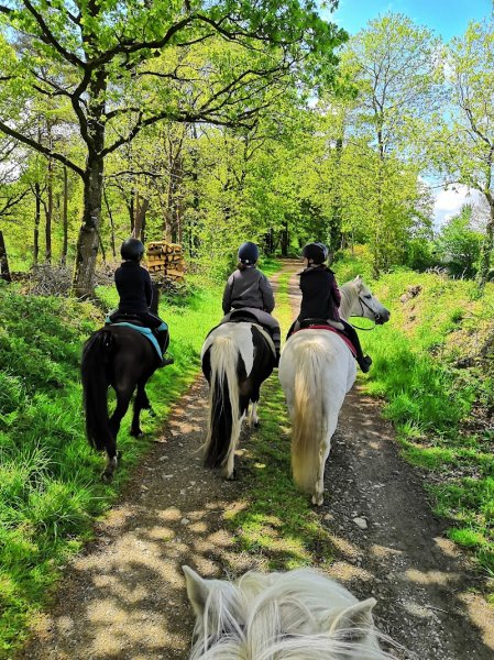 Ferme Equestre de Coat Maudez - photo 2