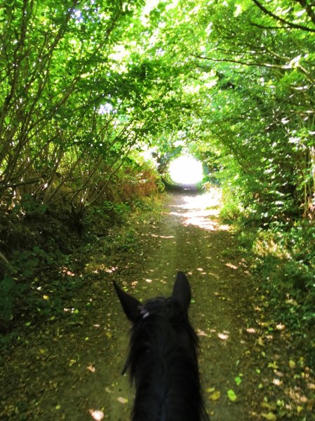 Ferme Equestre de Coat Maudez - photo 3