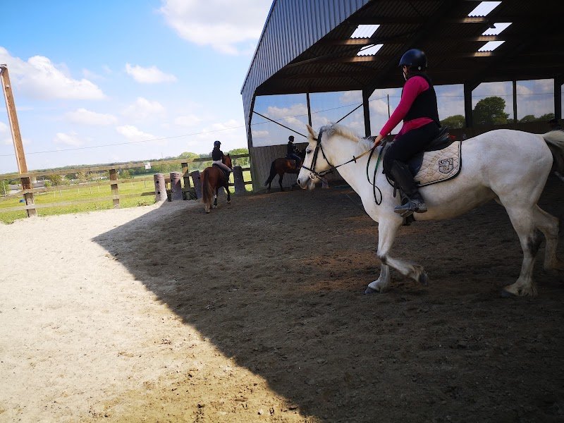 Écurie des Lacs - photo 1