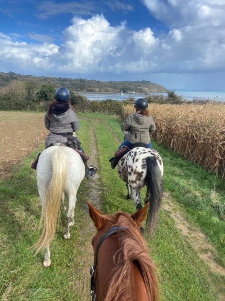 Les chevaux d’Achille - photo 1
