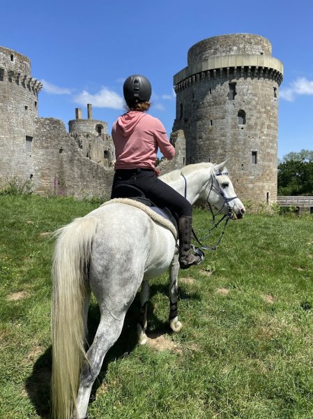 Les chevaux d’Achille - photo 2