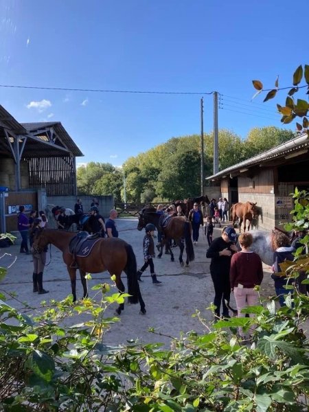 Ecuries de Marlau - photo 2