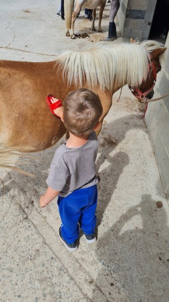 Ecuries de Marlau - photo 3