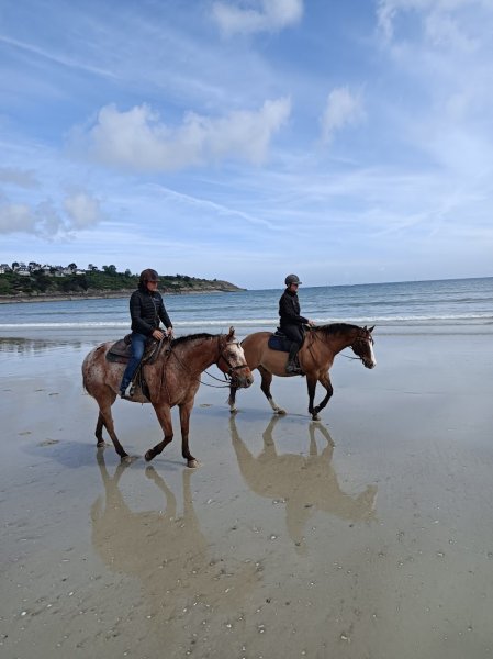 Les Écuries de Plancoët - photo 2