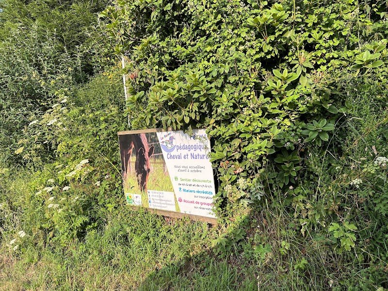 Poney-club et écurie des Rouves