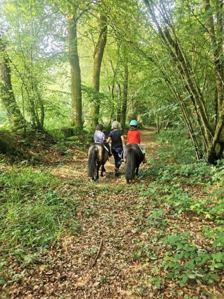 Poney-club et écurie des Rouves - photo 2