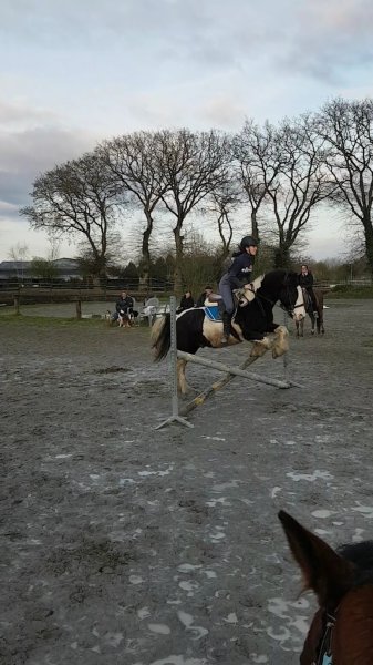 CENTRE EQUESTRE DE NONCHAUX - photo 2