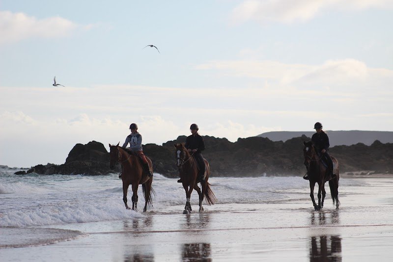 Écurie de Fréhel - photo 1