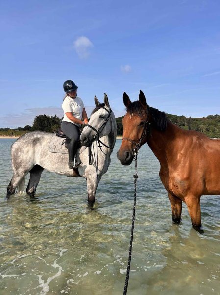 Écurie de Fréhel - photo 2