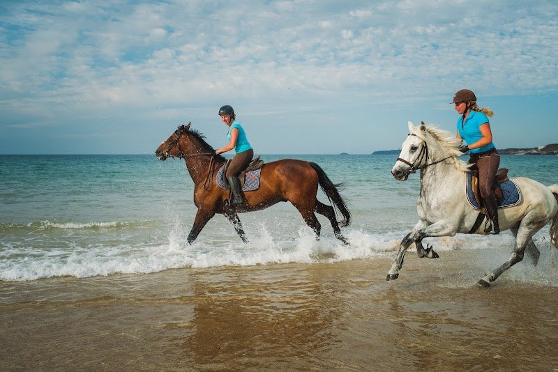 Centre Equestre Bretagne - photo 1