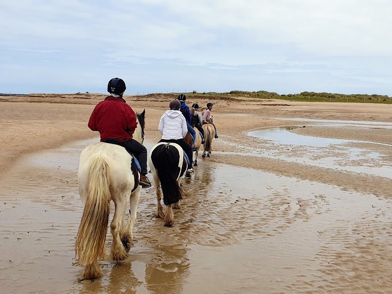 Centre Equestre Bretagne - photo 2