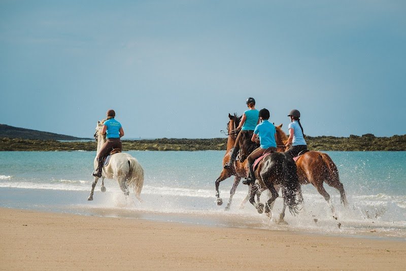 Centre Equestre Bretagne - photo 3