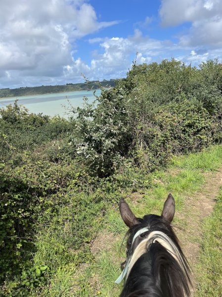 Les Ecuries de Saint Sébastien - photo 1