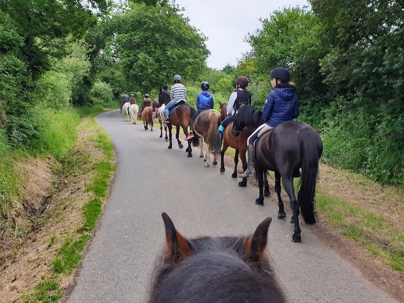 Les poneys de Kerjean - photo 2