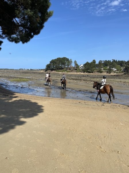 Les poneys de Kerjean - photo 3