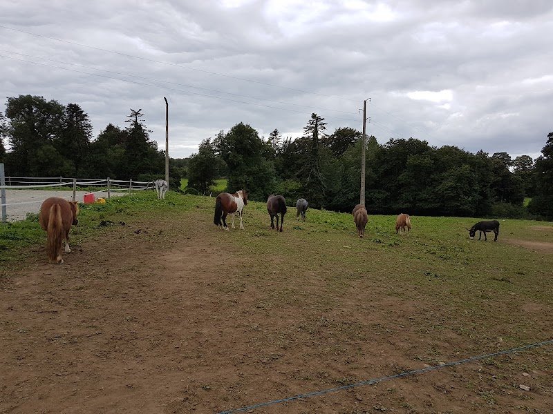 Ferme equestre de Kerbiriou - photo 3