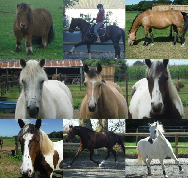 Les écuries de Lan Pen Hoat