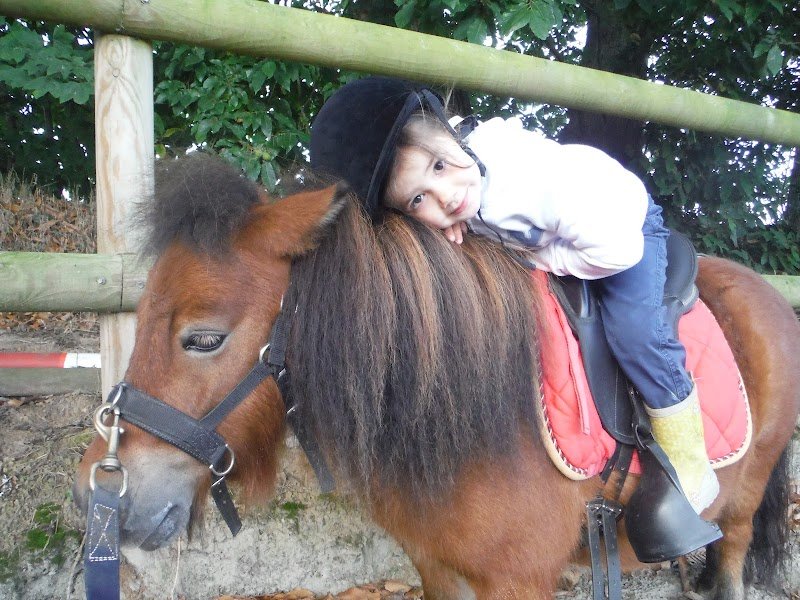 Les écuries de Lan Pen Hoat - photo 3