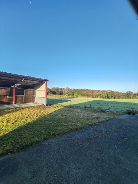 Ecurie Piette - photo 2