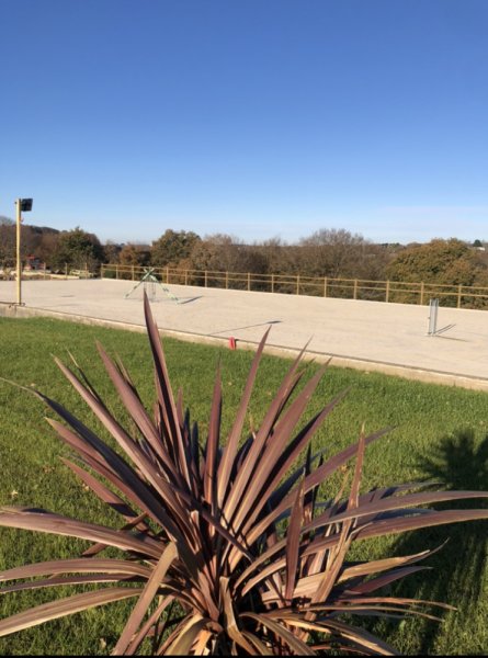 Ecurie de Pluméria - photo 2