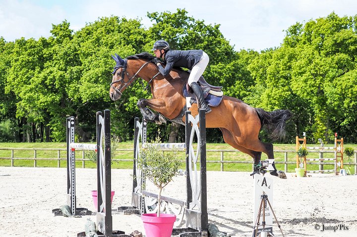 écurie an diw rosa - photo 2