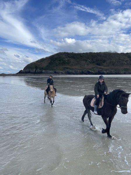 Ecurie du cast - photo 1