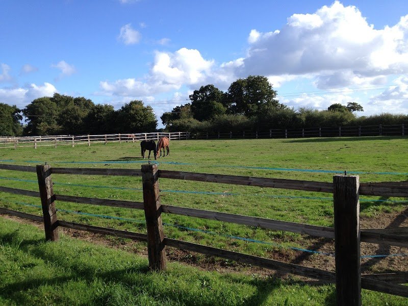 Ecurie du cast - photo 2
