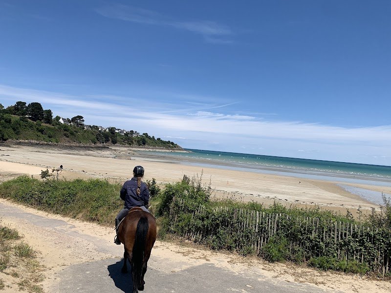 Ecurie du cast - photo 3