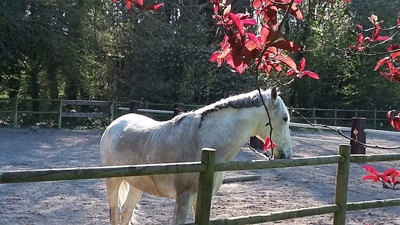 Centre Équestre de Saint Cast - photo 3