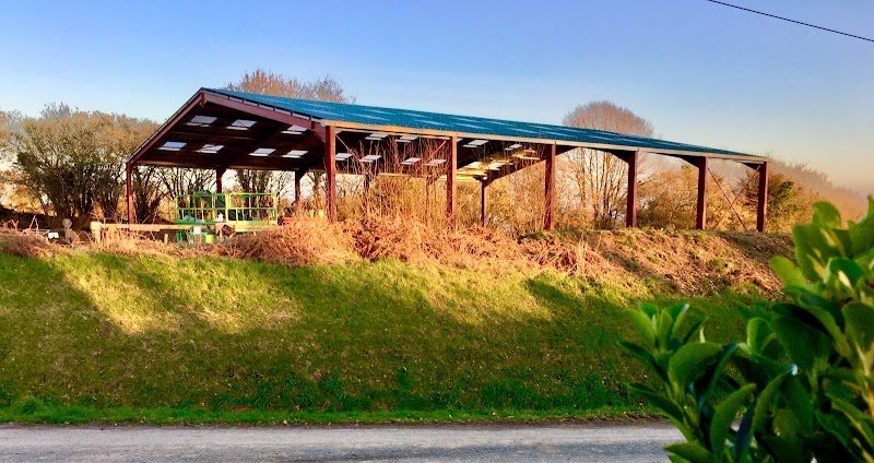 Edacurly - Chevaux hypoallergéniques & Ecole des Sens - Equitation Comportementale - photo 1