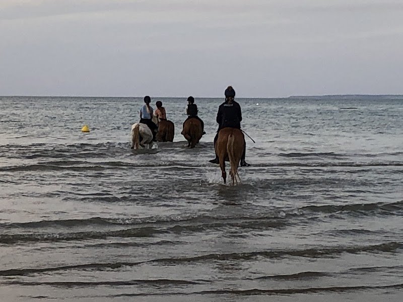 Les écuries du Mas Rouge - photo 2