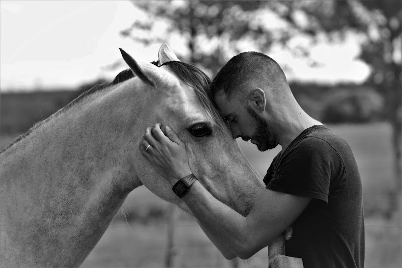 Écurie d'Avel Vor - photo 3