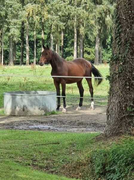 Les Ecuries Souloumiac - photo 1