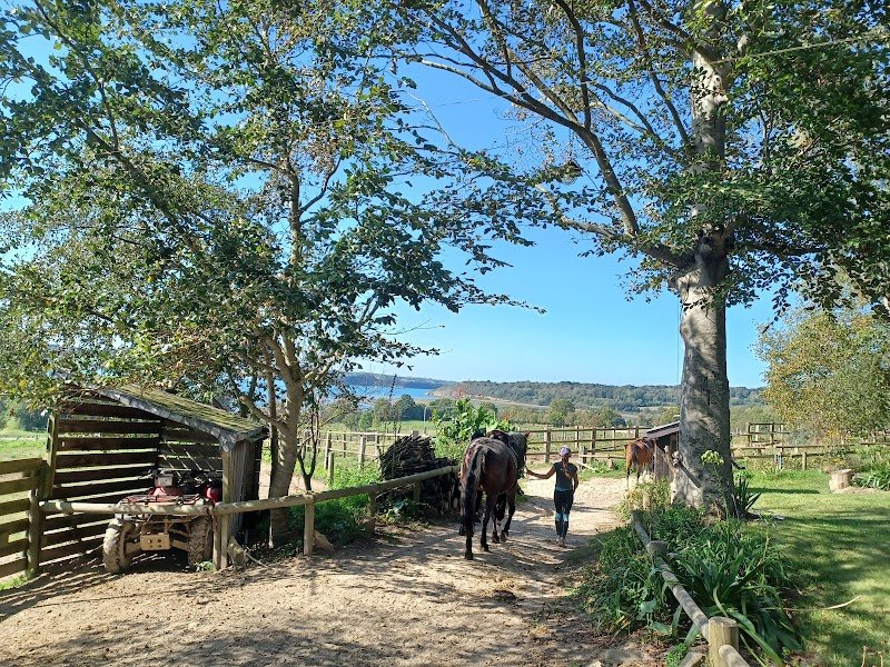 Les Ecuries des Perrières - photo 2