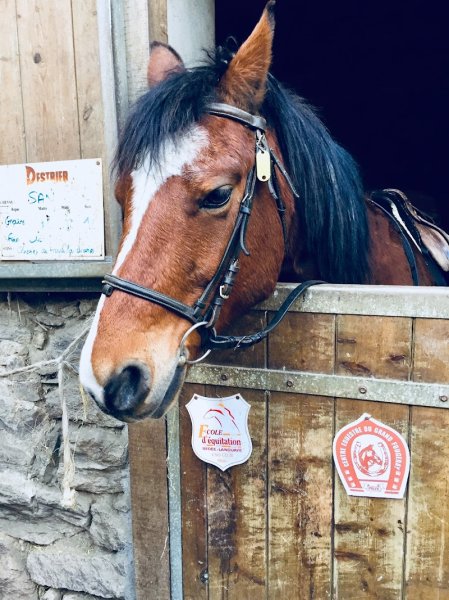 Les Ecuries des Perrières - photo 3