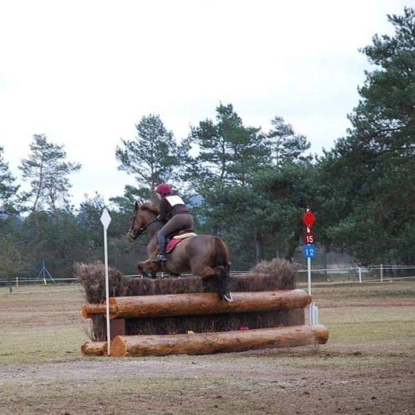 ECURIE HORSE SOLUTION - Léa Billon - photo 2