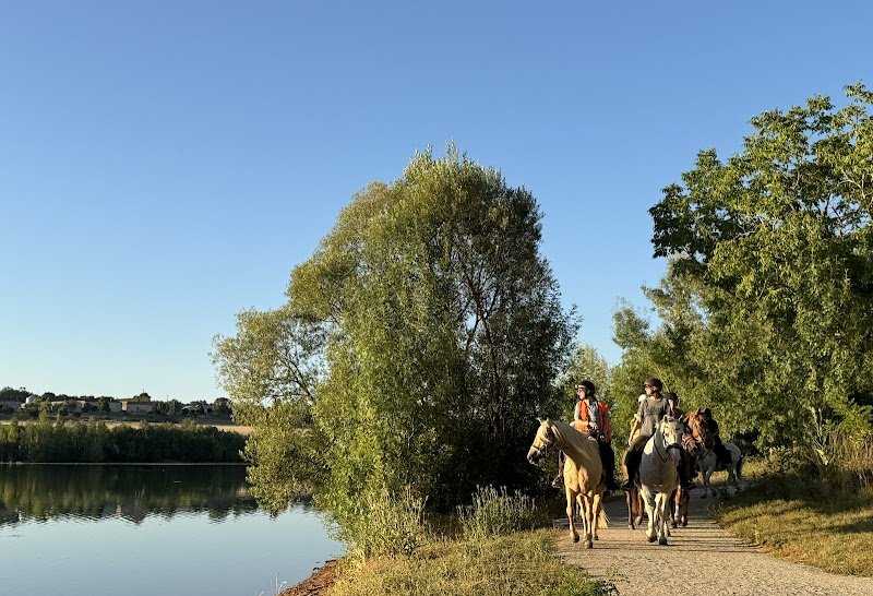 Ecuries des Bois de Saint-Quintin (Camille JULIEN)