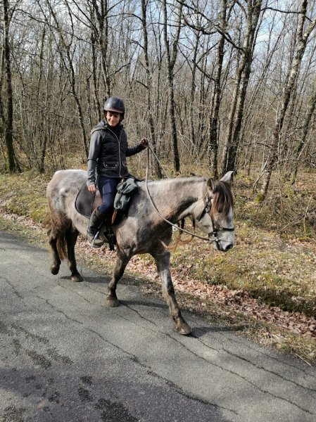 Ecuries des Bois de Saint-Quintin (Camille JULIEN) - photo 2