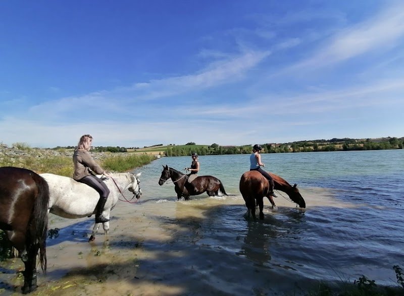 Ecuries des Bois de Saint-Quintin (Camille JULIEN) - photo 3