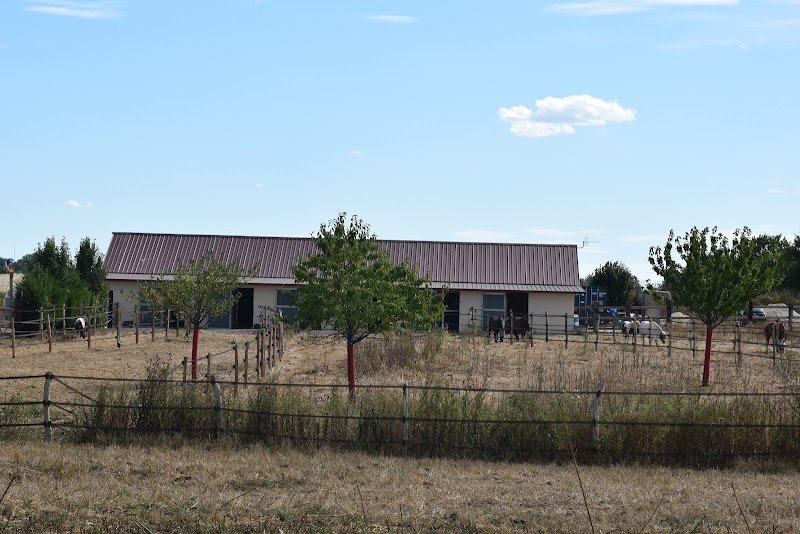 Les écuries de Grace - photo 1