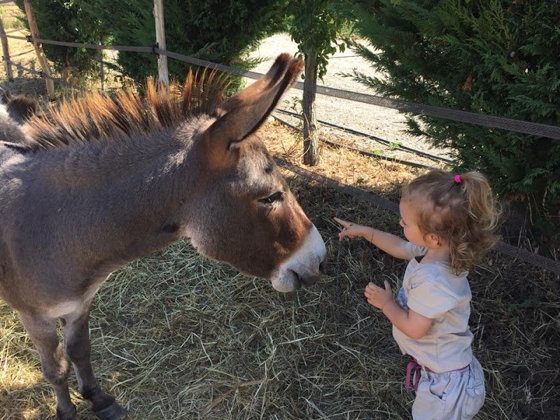 Les écuries de Grace - photo 3