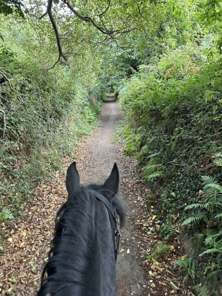 Club Hippique de Trégastel - photo 1