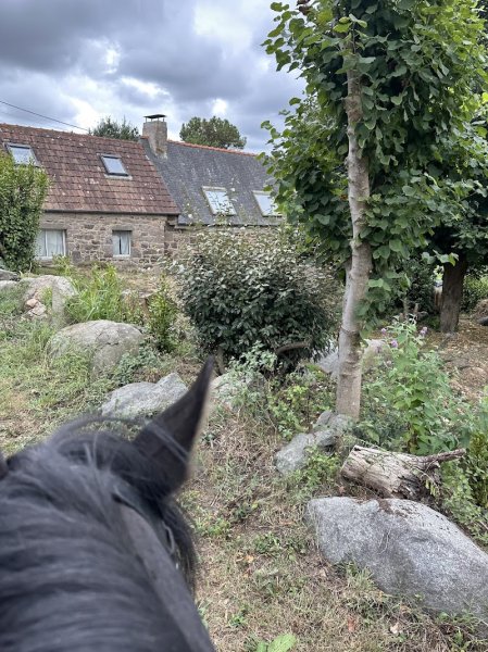 Club Hippique de Trégastel - photo 2