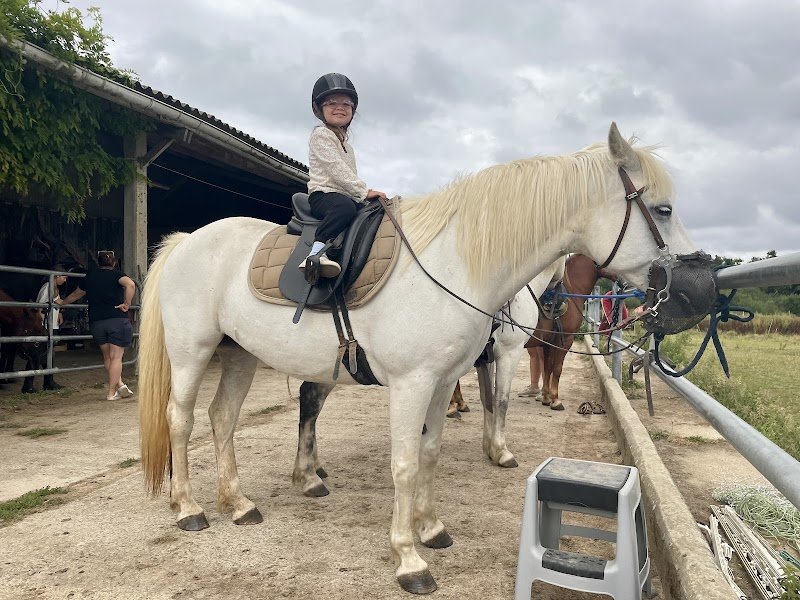 KAYDARA CENTRE ÉQUESTRE et LES BENGALS DE KAYDARA - photo 2
