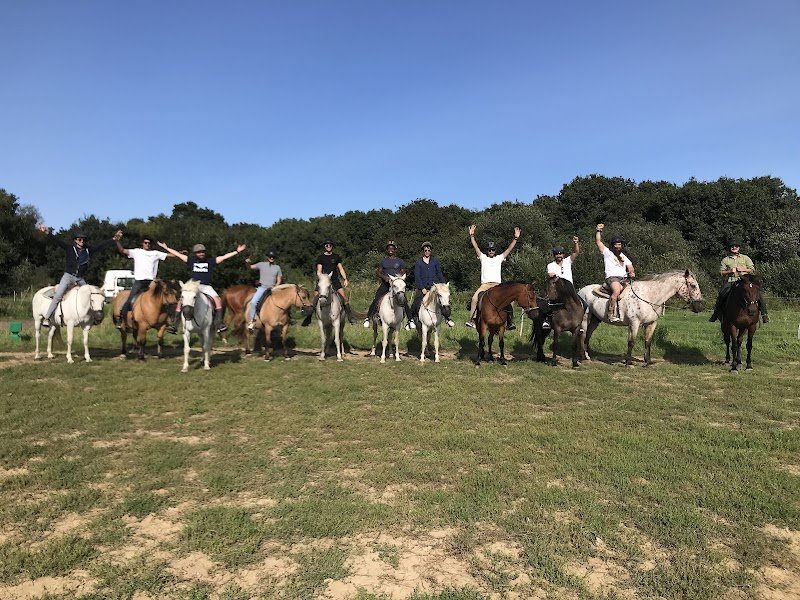KAYDARA CENTRE ÉQUESTRE et LES BENGALS DE KAYDARA - photo 3