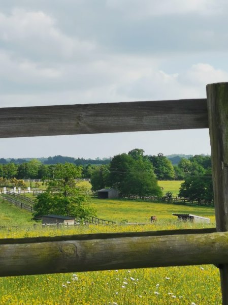 Écurie les Mesnils - photo 3
